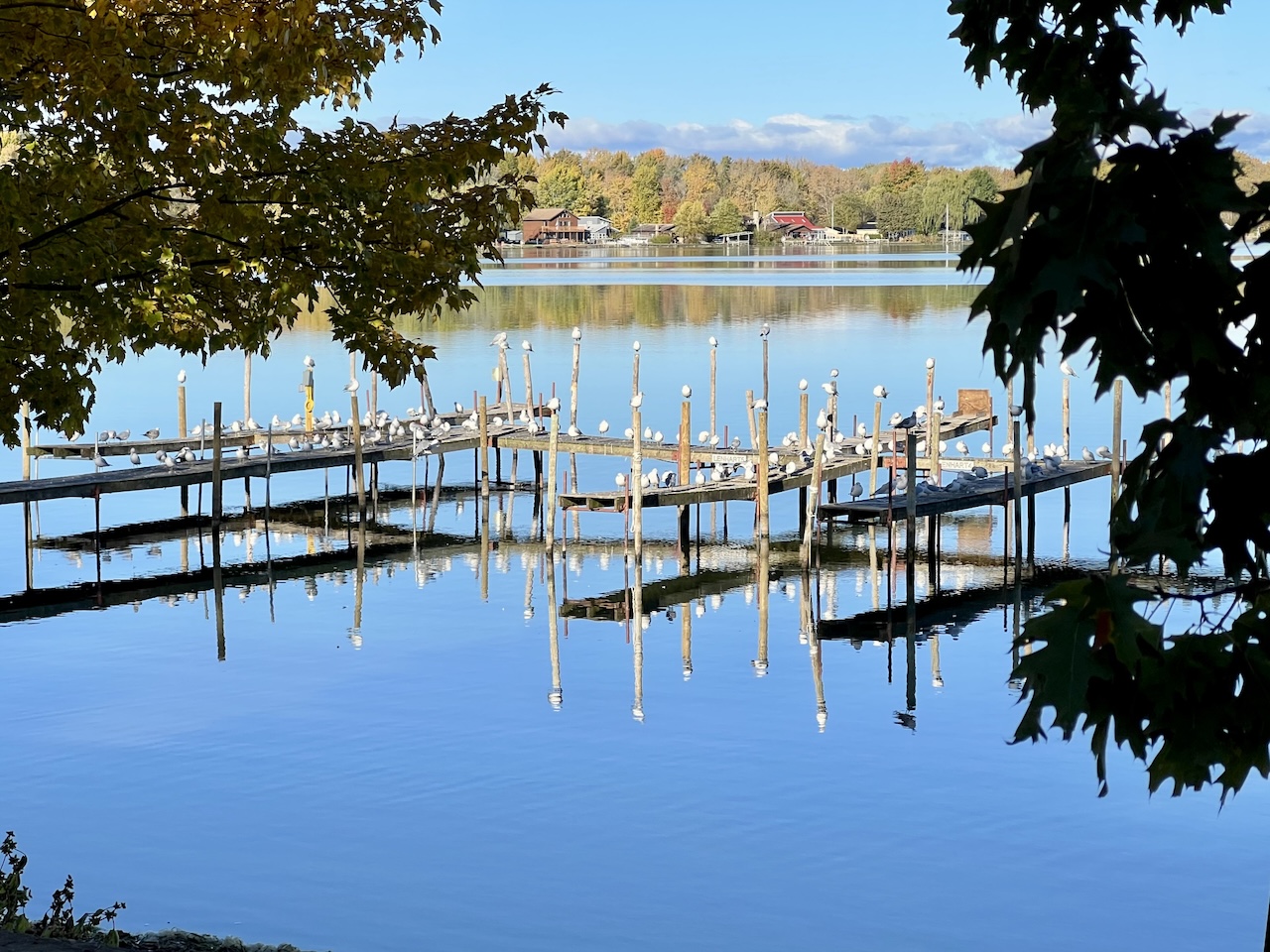 Reflections on Chautauqua Lake